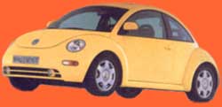 beetle